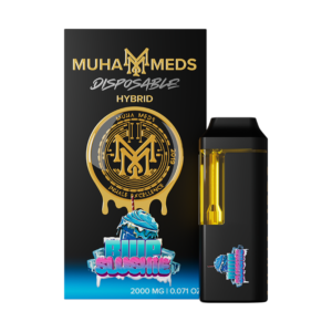 MUHA MEDS BLUE SLUSHIE 2g disposable